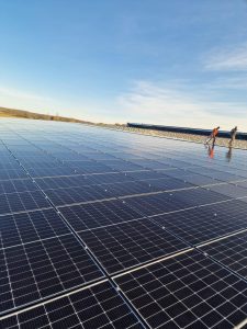 WhatsApp Image 2024-05-30 at 14.22.06 (2)